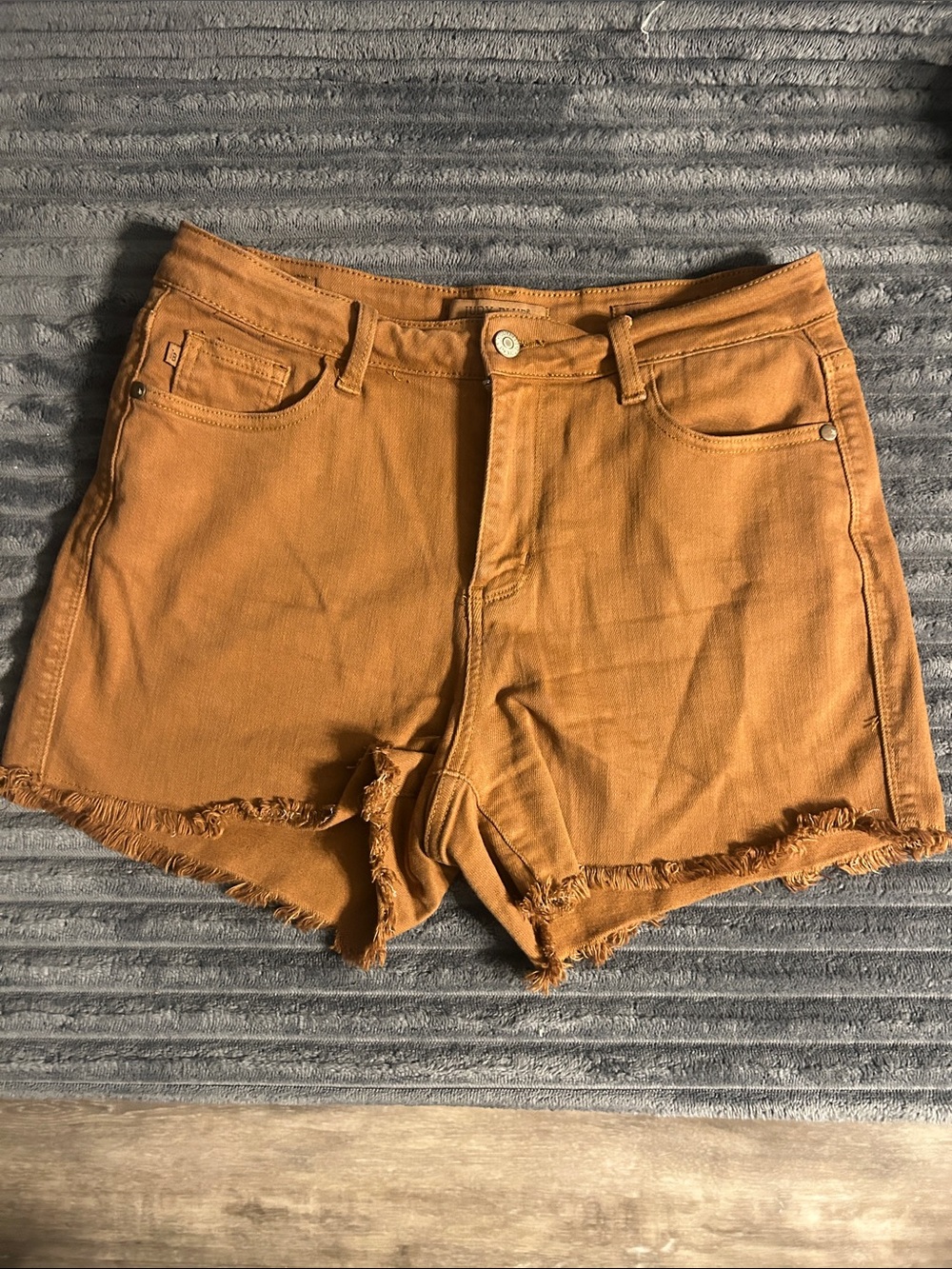 Women's High-Rise Frayed Hem Judy Blue Shorts in Rust